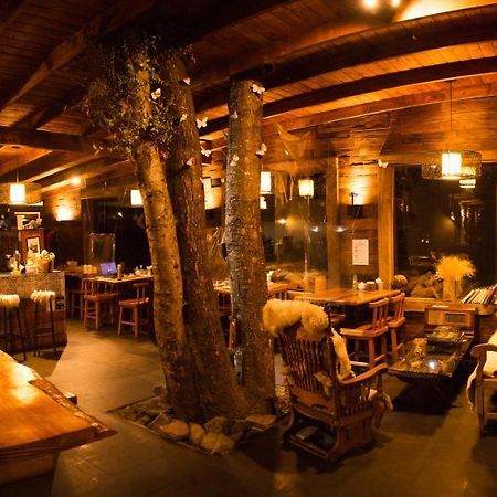Cabana & Loft El Laurel Temuco Eksteriør billede